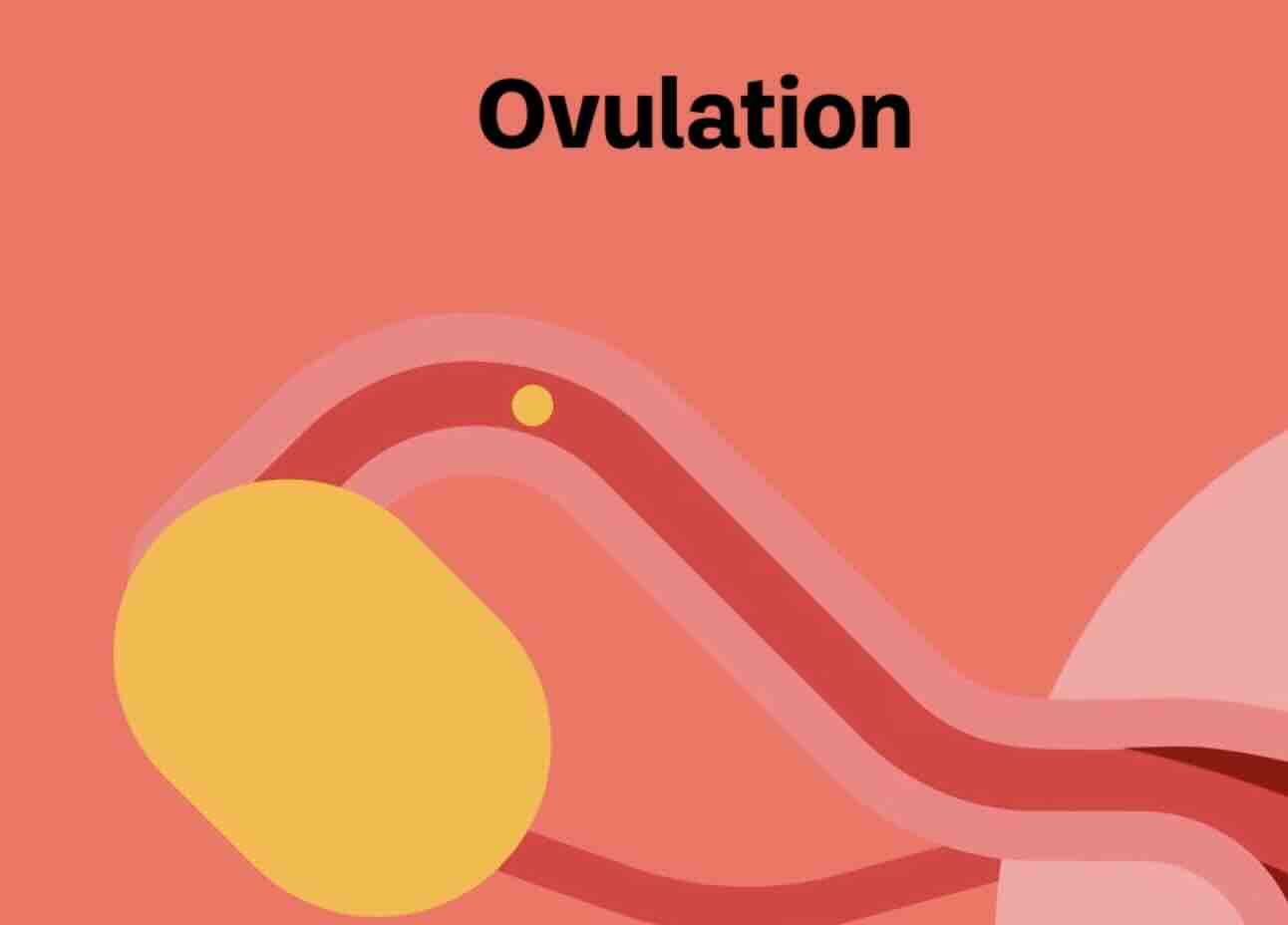 Adet Gecikmesi: Nedenleri, Belirtileri ve Çözüm Yolları