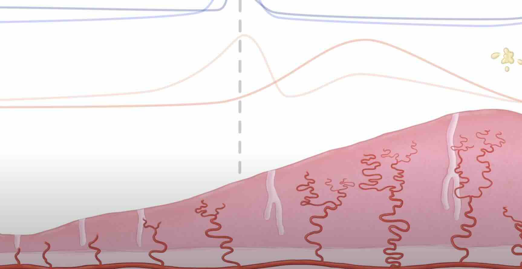 Adet Geciktirici ve Söktürücü İlaçlar