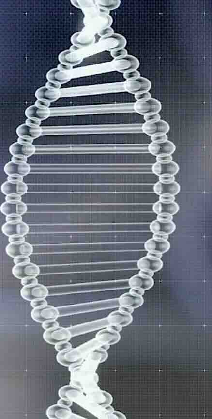 Ankara'da Fetal DNA Testi