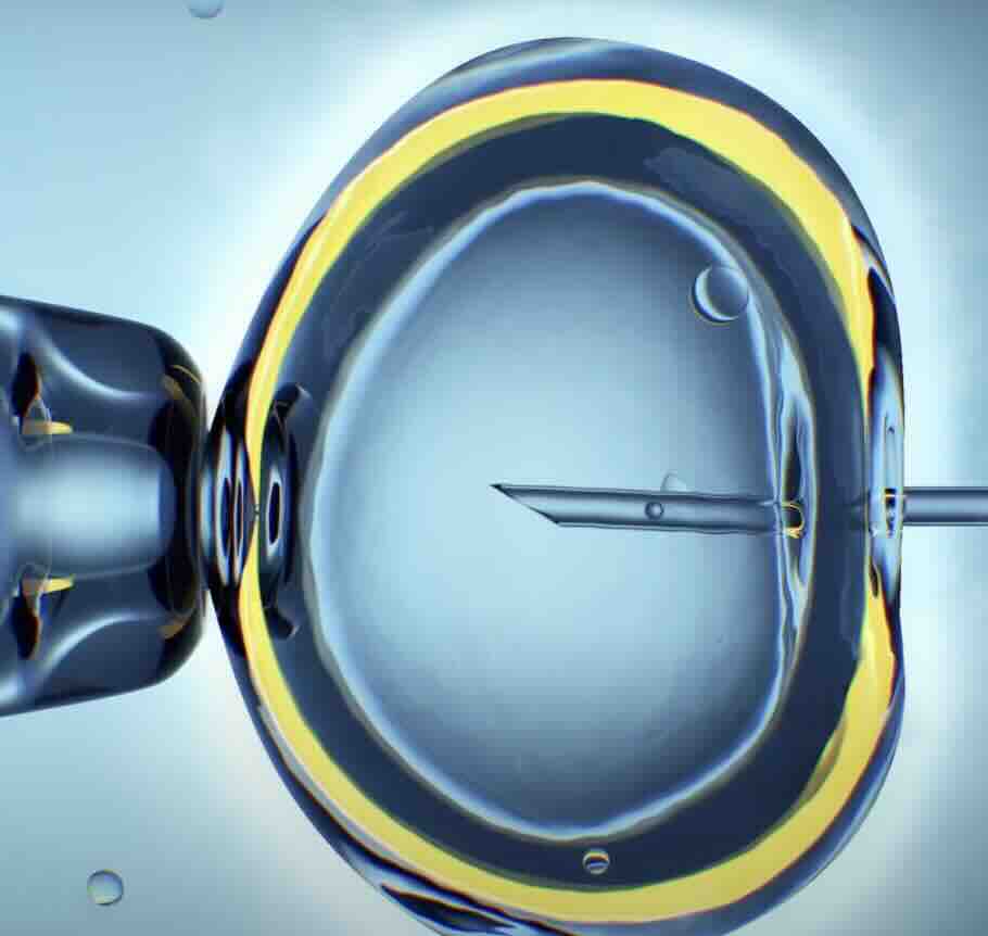 Embriyo Kalitesi Nedir? Nasıl Tespit Edilir? Hangi Embriyolar Transfer Edilir?