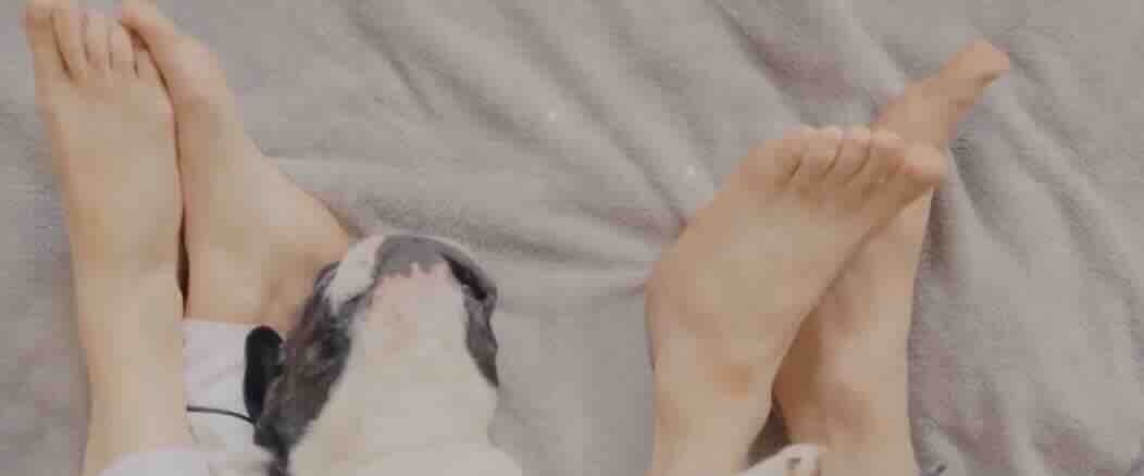 Gebe kalmak için hangi seks pozisyonları