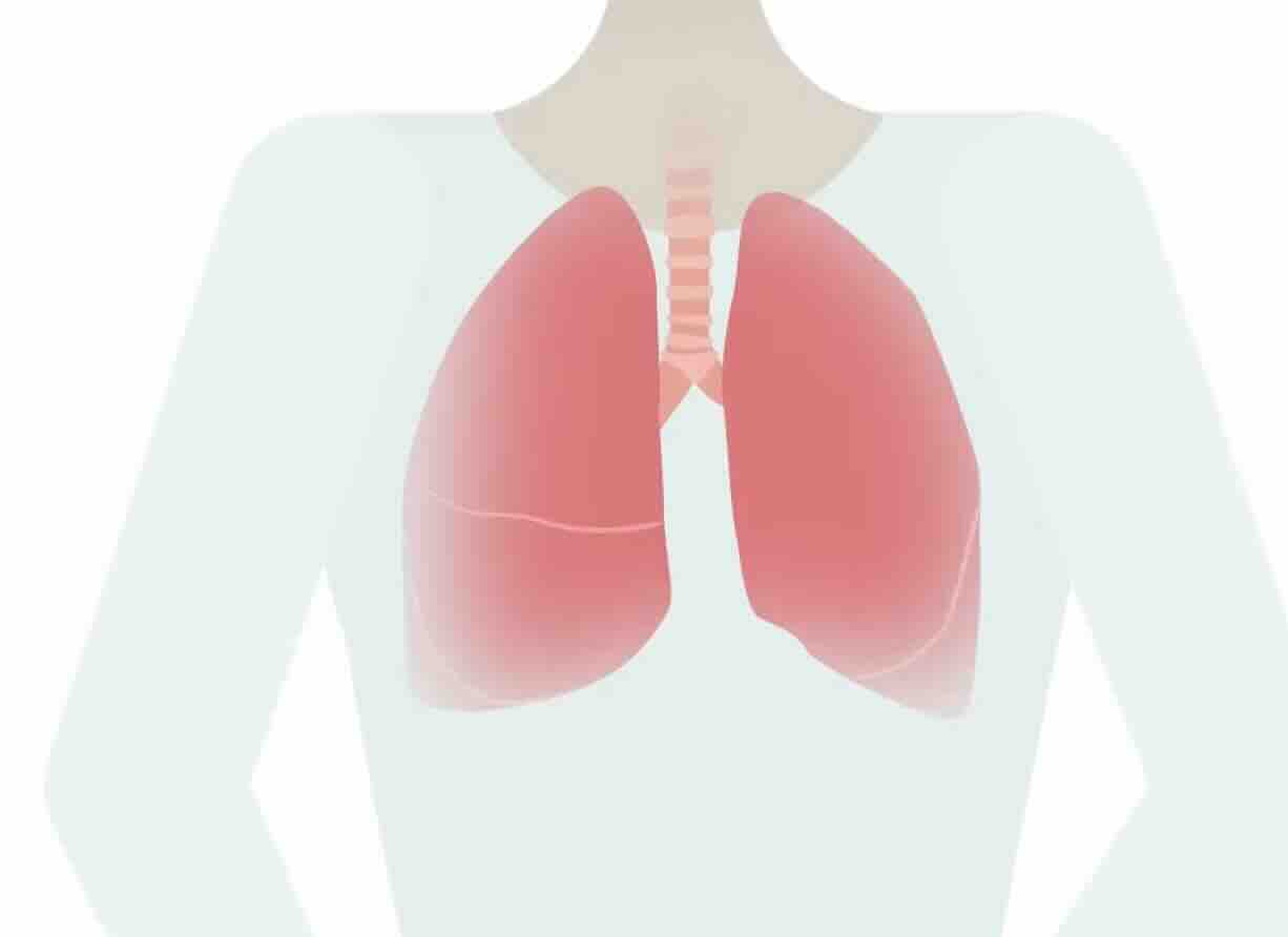 Gebelik ve İnfluenza (Grip)