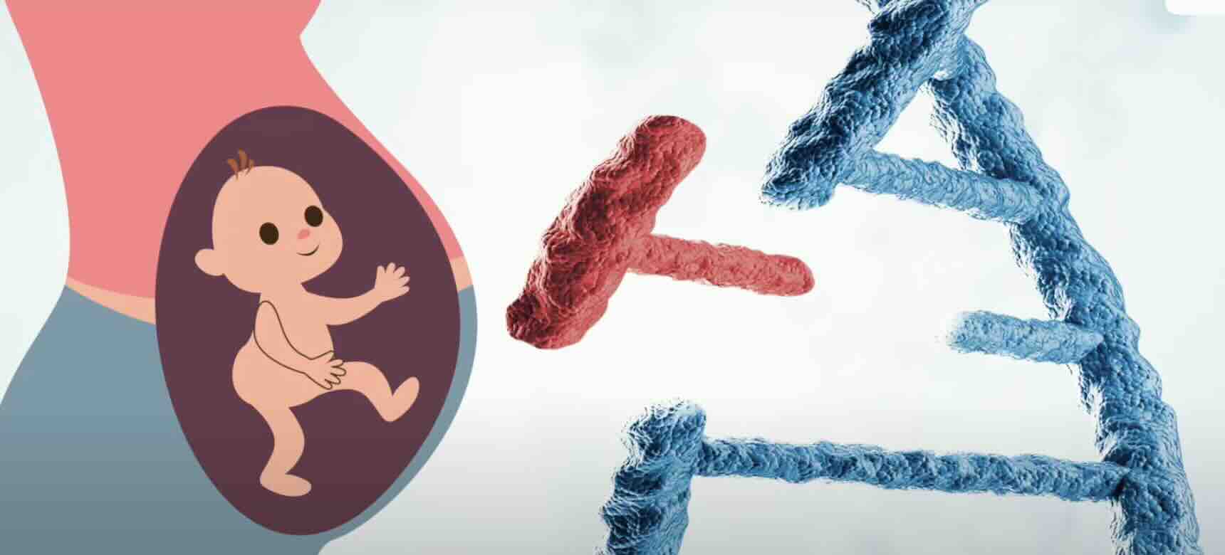 Gebelikte İkili, Üçlü ve Dörtlü Test Sonucunun Yüksek (Riskli) Çıkması Ne Anlama Gelir?