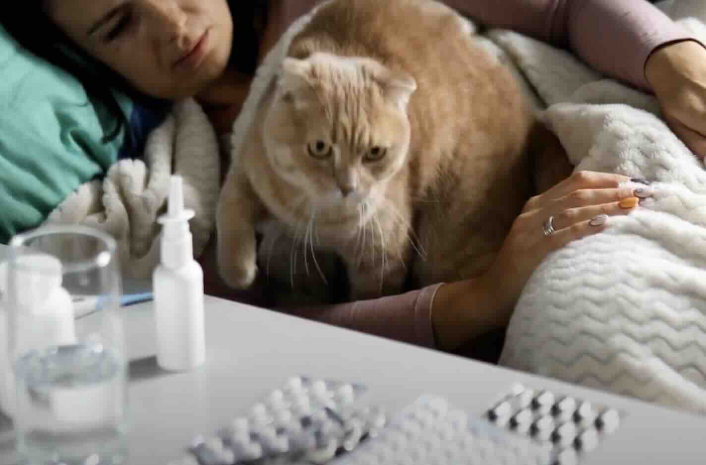 Gebelikte Toksoplazma