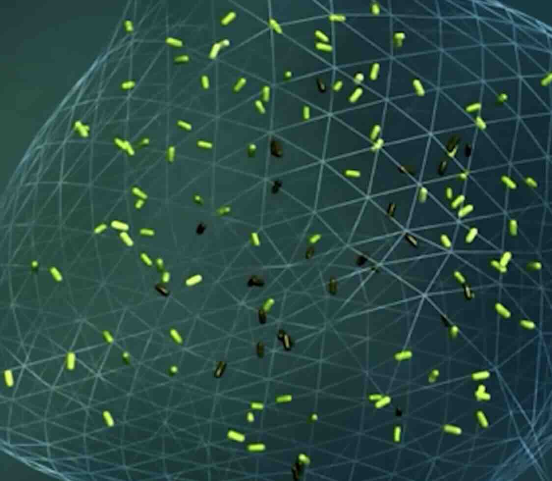 Genetik Hastalık Taraması