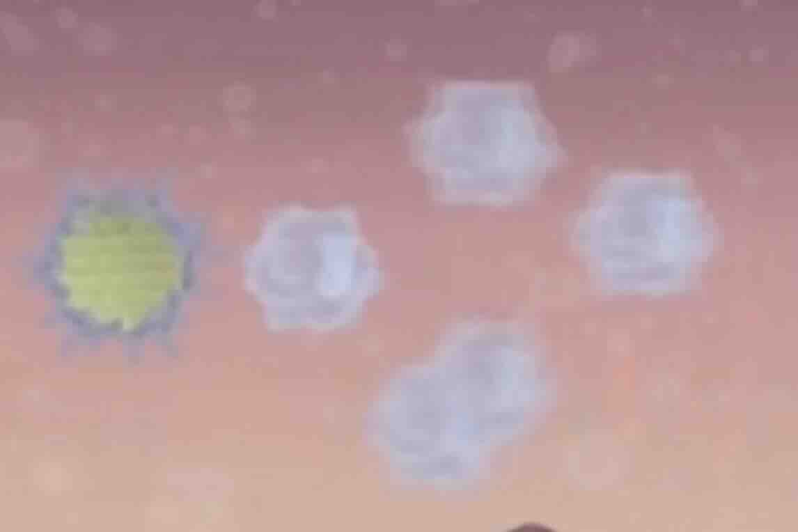 HPV Testi
