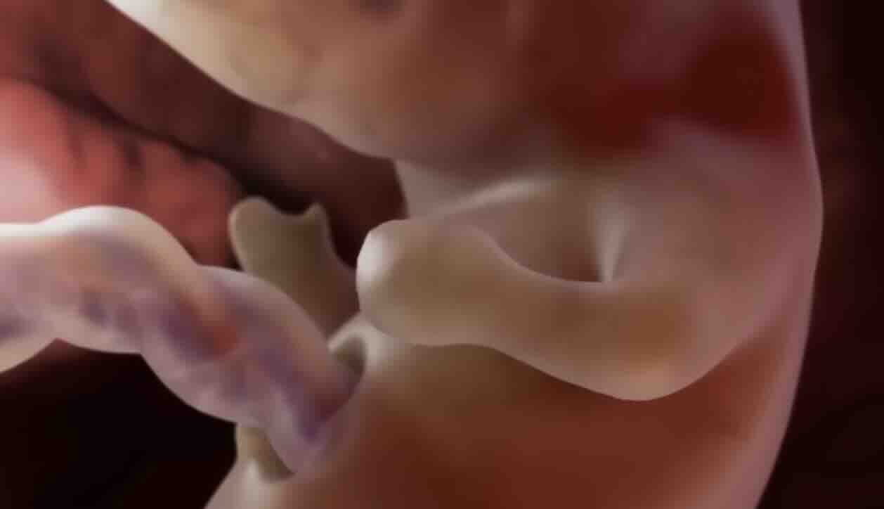 Perinatoloji Uzmanı