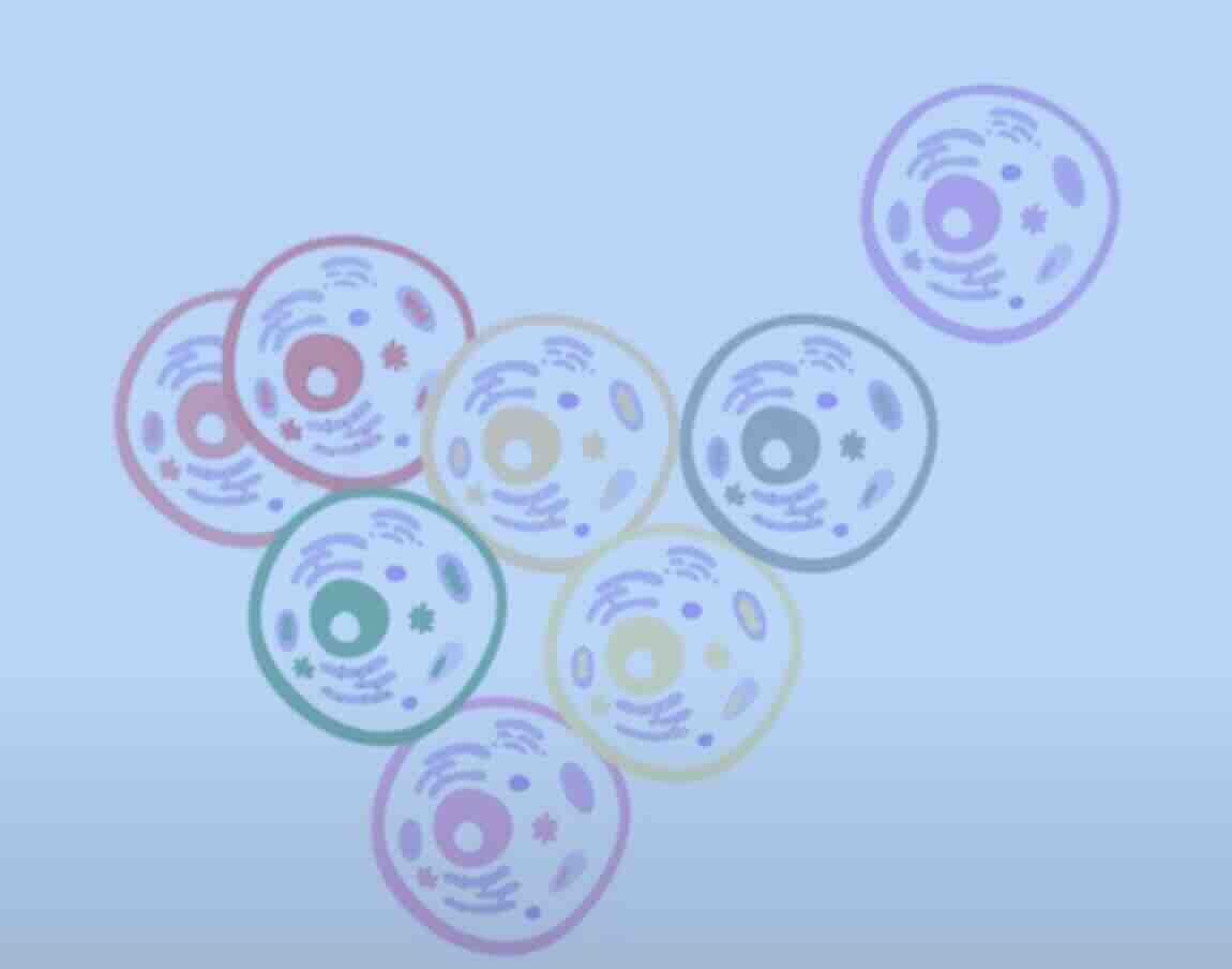 Plasenta ve Fetüs DNA’sı Farklı Olabilir mi? Mozaisizm Nedir?