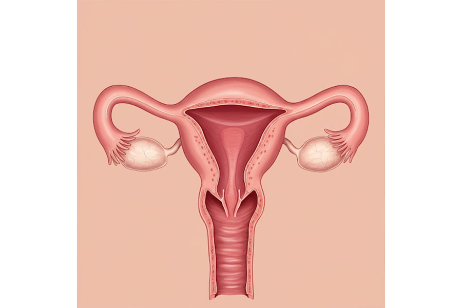 Preimplantasyon Genetik Tanı (PGT) ile Sağlıklı Bir Geleceğe Adım Atın
